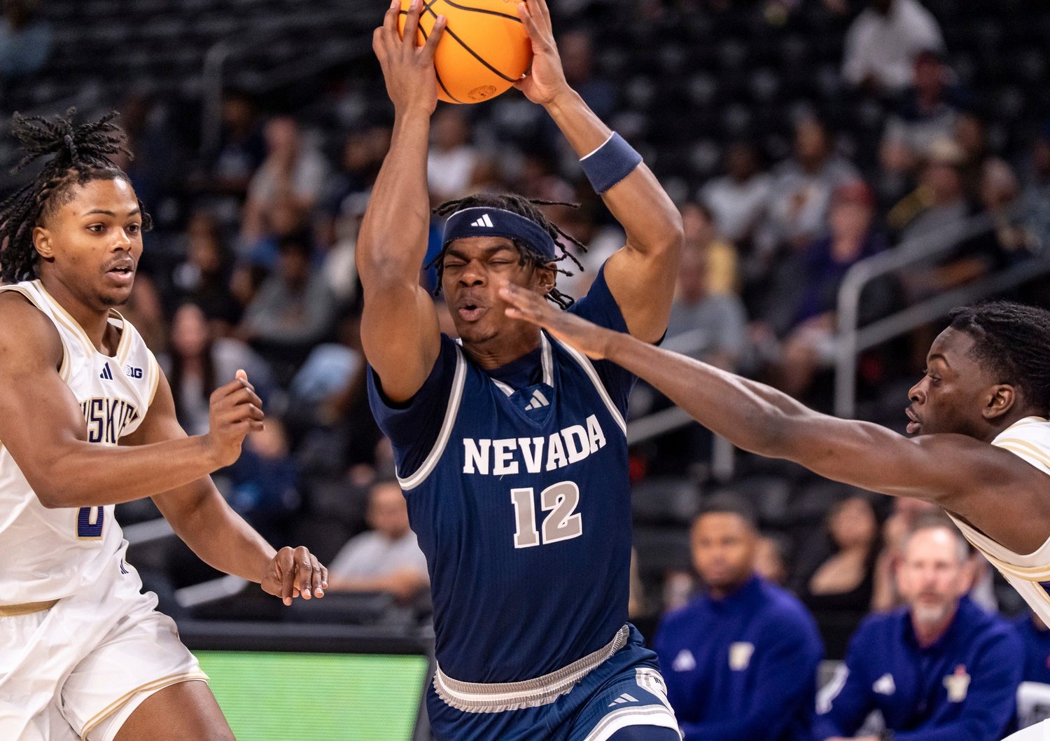 New Mexico vs. Nevada Picks and Predictions, Tuesday, February 24th, 2026