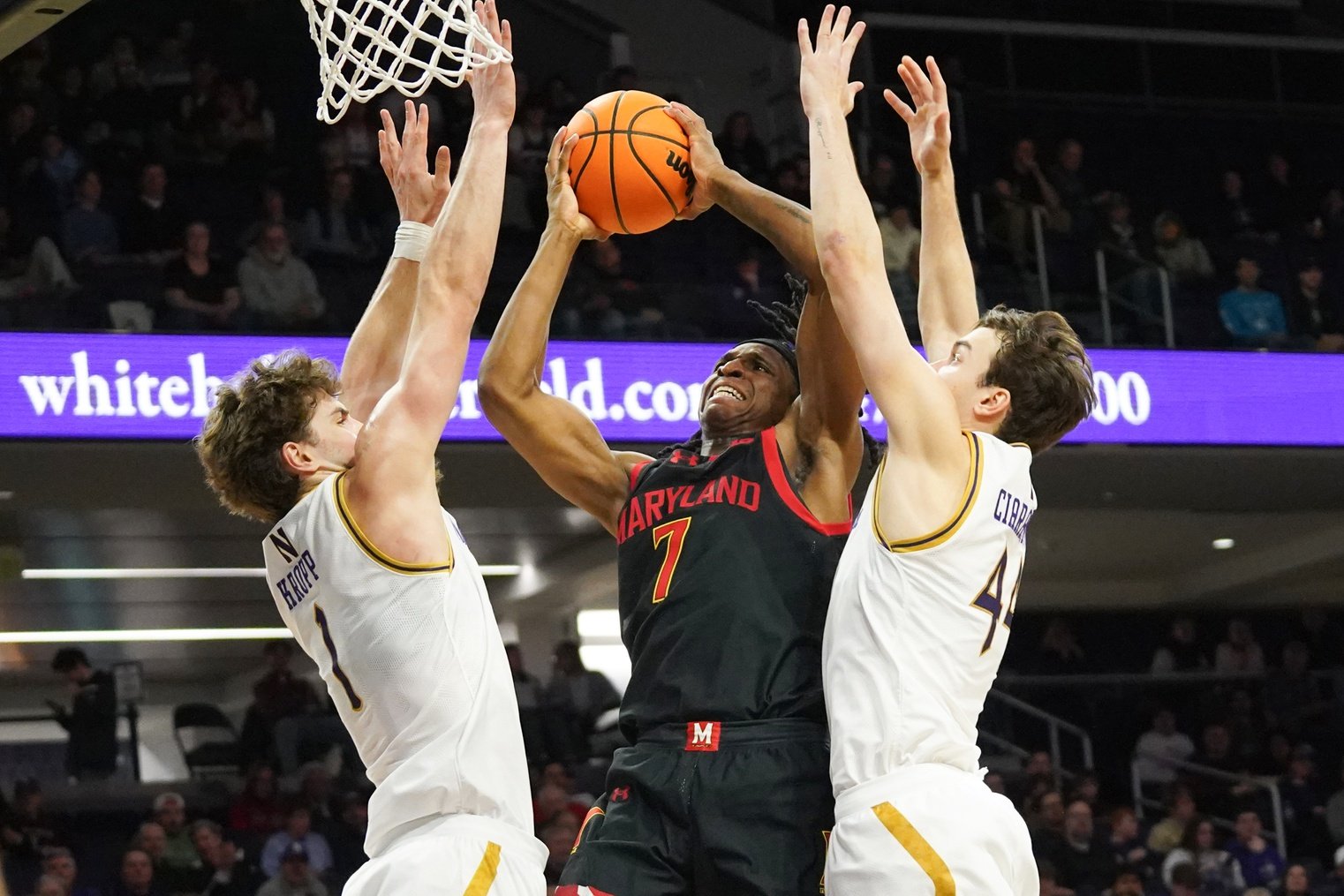Washington Huskies vs. Maryland Terrapins Picks and Prediction for Saturday, February 21 2026