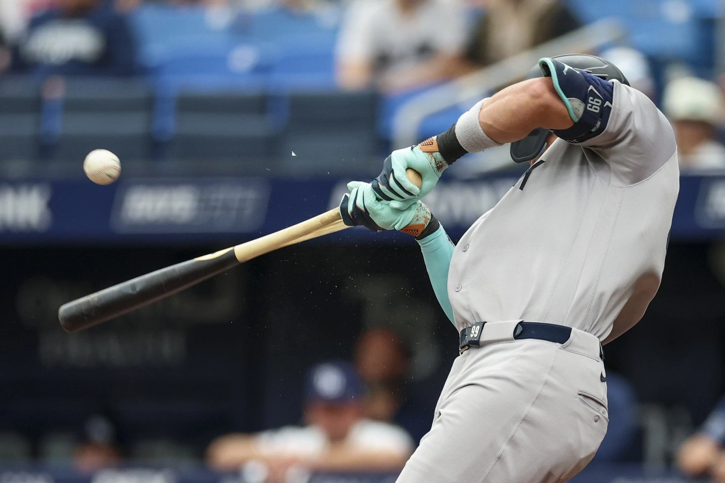 New York Yankees vs Tampa